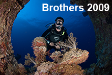 web_katalog_Brothers2009