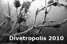 web_katalog_divetropolis2010