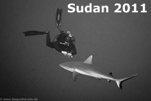 web_katalog_sudan2011